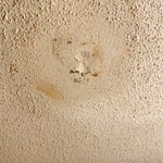Painting - Interior Project