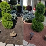 Additional Photos