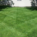 Lawn Mowing