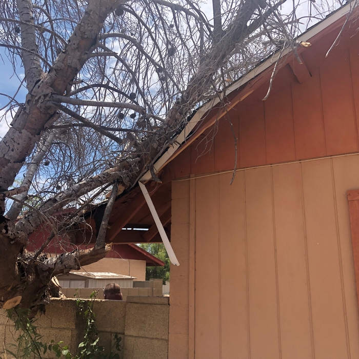 Additional Photos