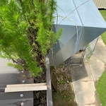 Big box commercial gutters full of weeds growing 3' high.