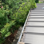 Cleaned gutters where plants were.