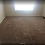 FULL CARPET DETAIL AND CHOICE OF CARPET SMELL AND PET ODOR REMOVAL