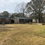 Removal of Dead Tree in North Charleston, SC