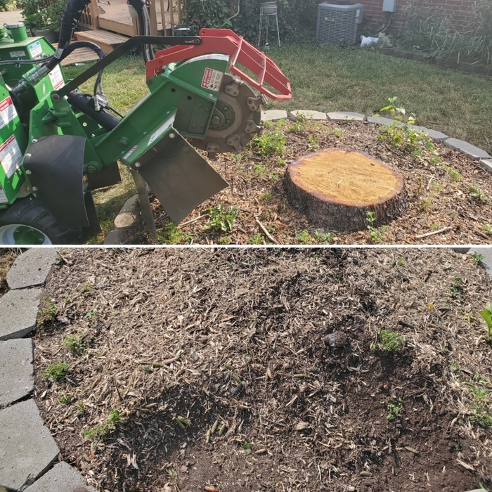 Additional Photos