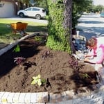 Additional Photos