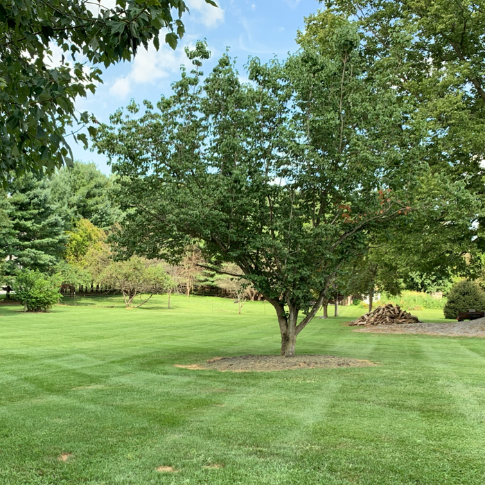 Additional Photos