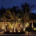 Landscape lighting.