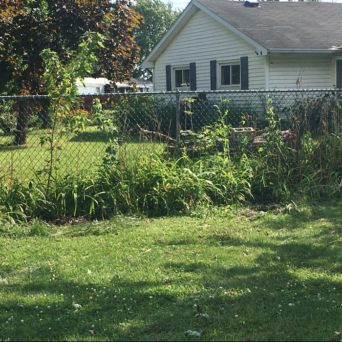 Additional Photos