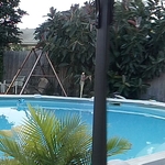 Backyard Transformation