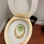 Toilet overhaul