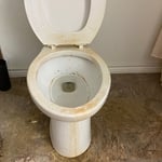 Toilet overhaul