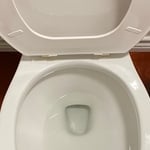 Toilet overhaul