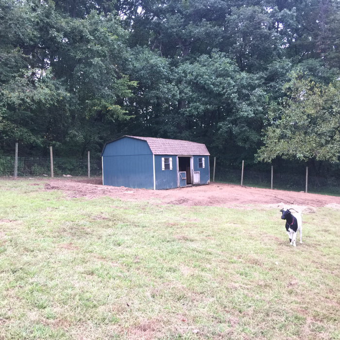 Additional Photos