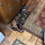 Additional Photos
