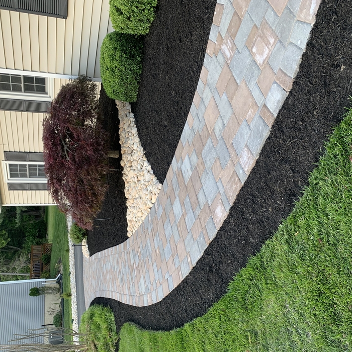 Patios Project