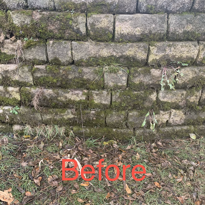 Additional Photos