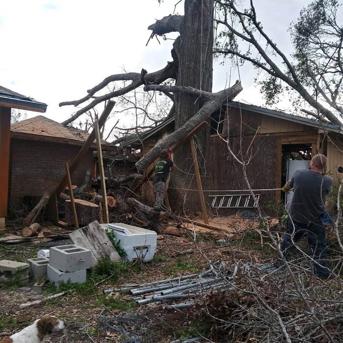 Additional Photos