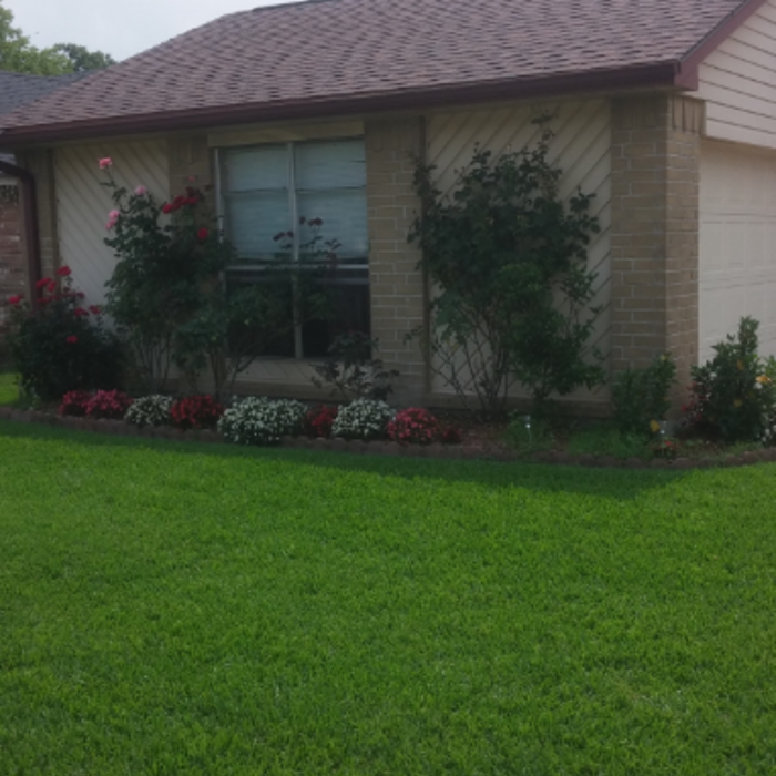 Additional Photos
