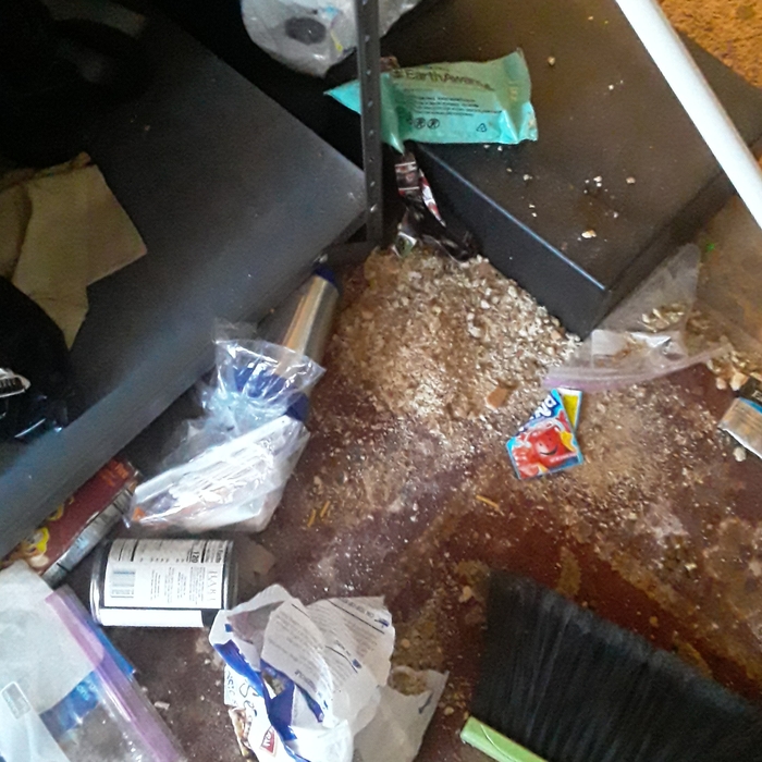before- living and dining floor