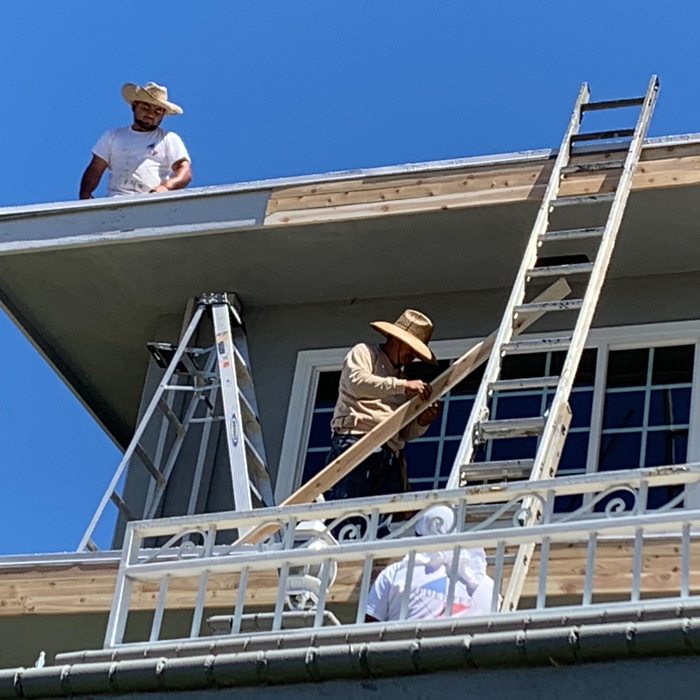 Exterior fascia repair and painting