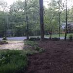 AFTER PHOTO: Front flower bed now cleaned out and nicely covered. The final touch of creating a solid uniform border with the monkey grasses only made this flower bed more attractive and elegant.