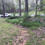BEFORE PHOTO: The homeowner was not familiar with our region's vegetation and seasons. We were entrusted to apply our professional opinion everywhere, the only specification was to create a consistent appearance. Both parties were pleased in the decisions made, as well as keeping it all down to a practical cost.