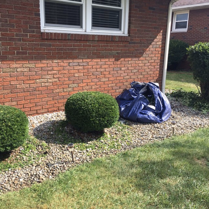 Additional Photos