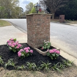 Landscaping Project