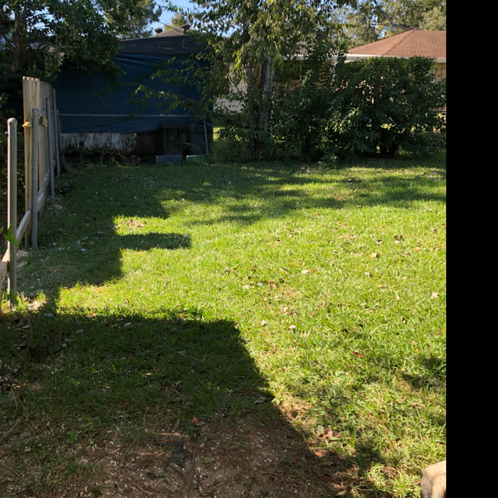 Additional Photos