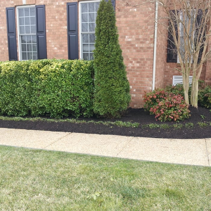 Additional Photos