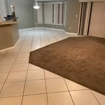 Housecleaning Project