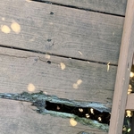 Deck Before And After