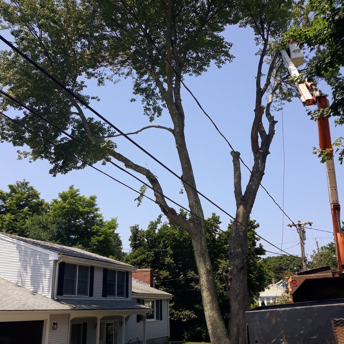 Additional Photos