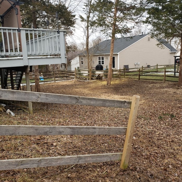 Additional Photos
