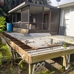 Wood repair