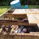 Wood repair