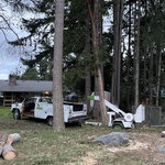 Tree Service Project