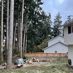 Tree Service Project