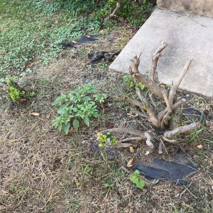 Additional Photos