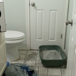 Before