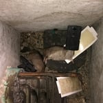 RATS