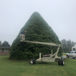 Additional Photos