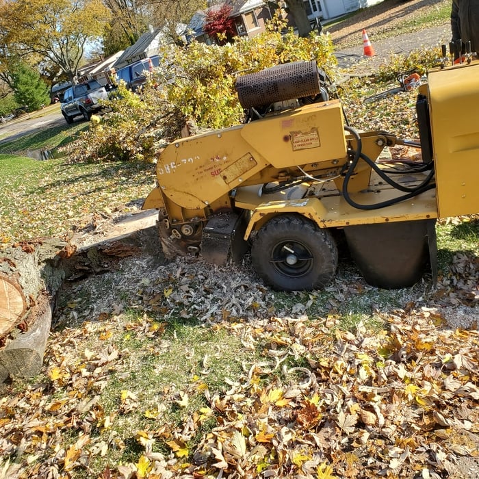 Additional Photos