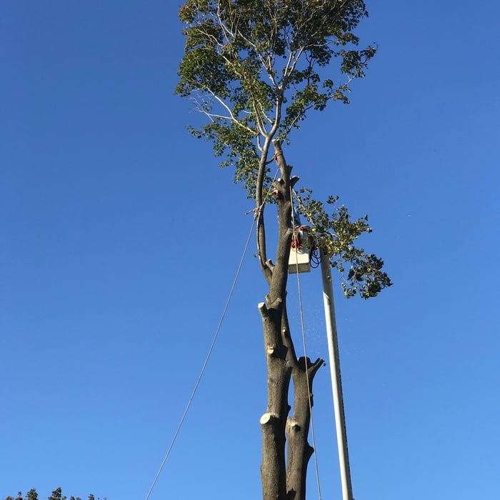 Additional Photos