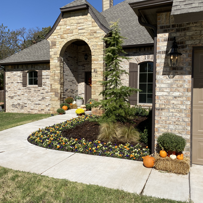 Additional Photos
