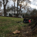 Spring Time Yard & Garden Grind