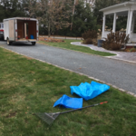 Yard, Berm or Garden Cleanups and Makeovers