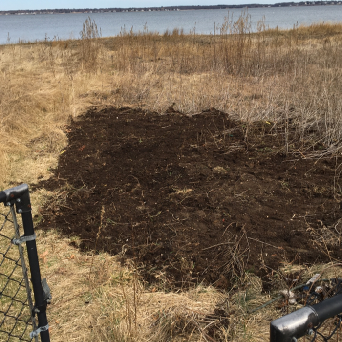 Yard, Berm or Garden Cleanups and Makeovers