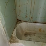 Bathtub after removal of tub surround.